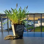 Appartement Sonnenweg 44-5 - Mein Diemelsee *